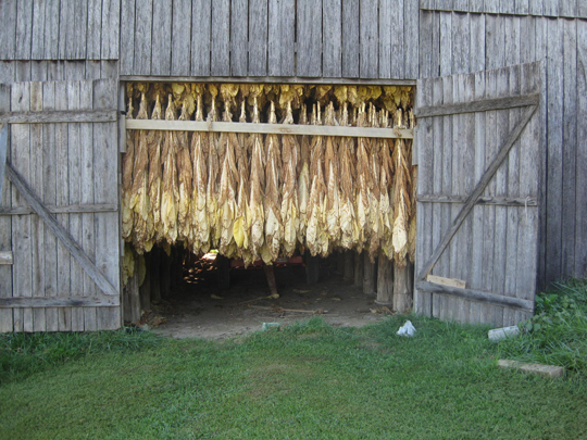 Tobacco barn, Clark farm